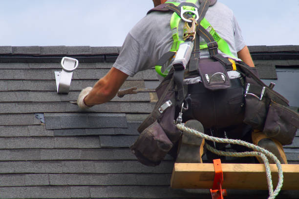 Best Roof Installation Near Me  in Nes, IL