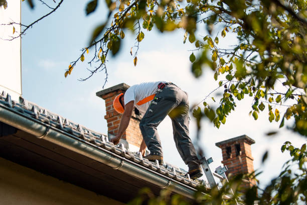 Roof Installation Near Me in Niles, IL