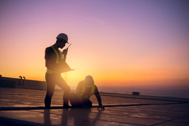 Best Roof Gutter Cleaning  in Nes, IL