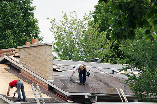 Best Gutter Installation and Roofing  in Nes, IL