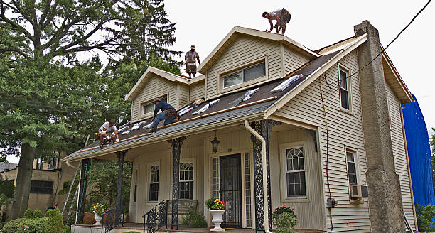 Best Residential Roofing Contractor  in Nes, IL
