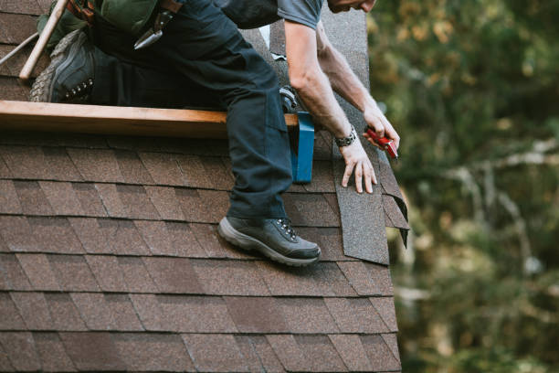 Best Metal Roofing Contractor  in Nes, IL
